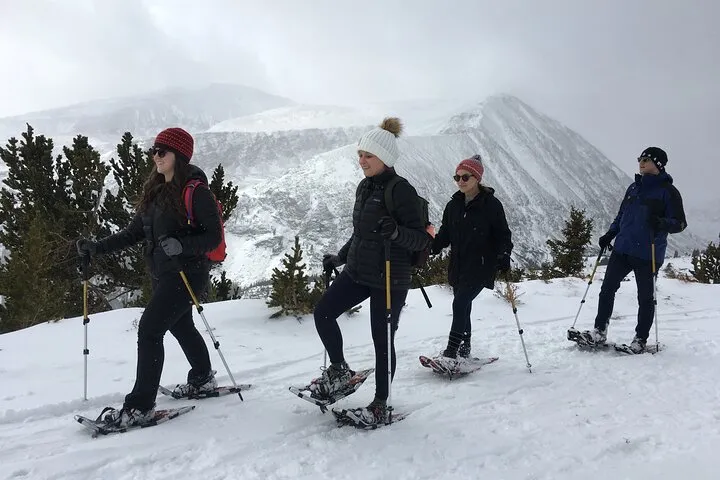 Guided snowshoe trail through deep powder in the forest outside Breckenridge, Colorado, a winter alternative to dog sledding in Breckenridge